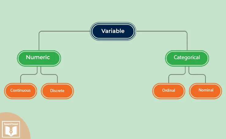 Types of variable 