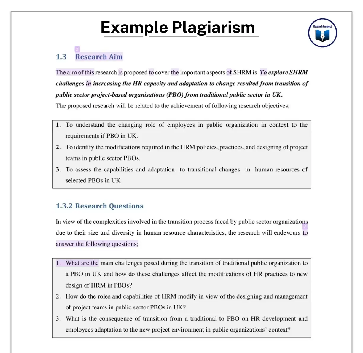 Example Plagiarism Report